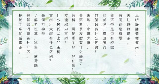 春節喝茶指南（早餐篇）