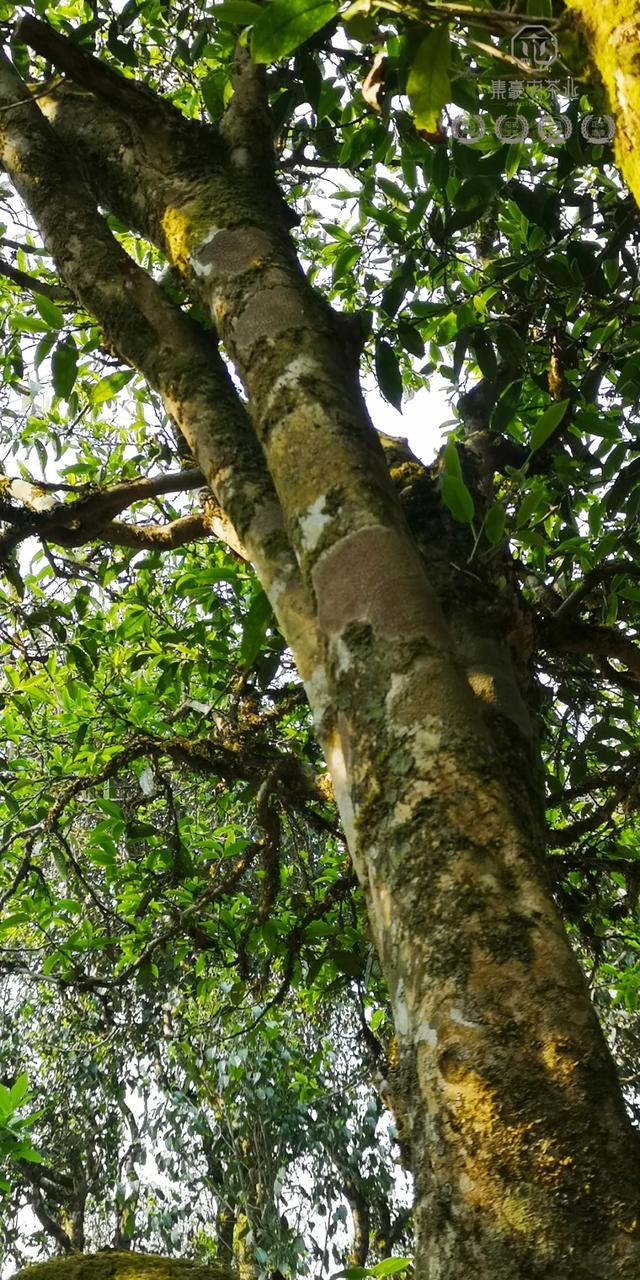 待疫情過去，我第一個想見你