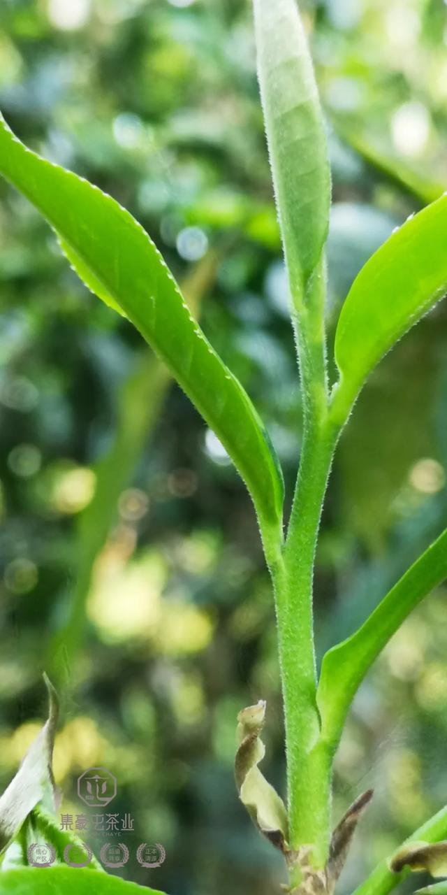 待疫情過去，我第一個想見你