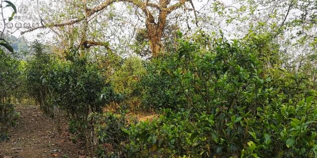 待疫情過去，我第一個想見你