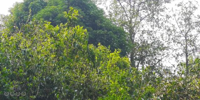 待疫情過去，我第一個想見你