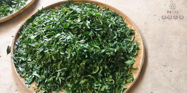 春來發幾枝,愿君多采擷