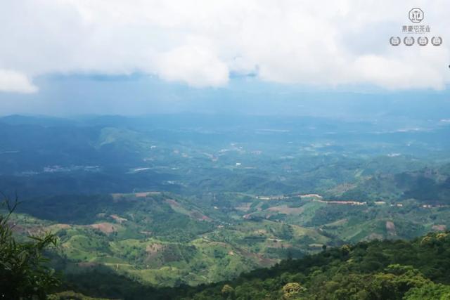 當我站在西雙版納之巔，這是我離云端最近的一次