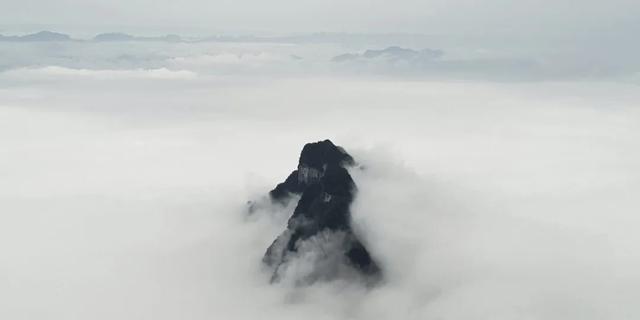 萃取天地精華,只為健康生活