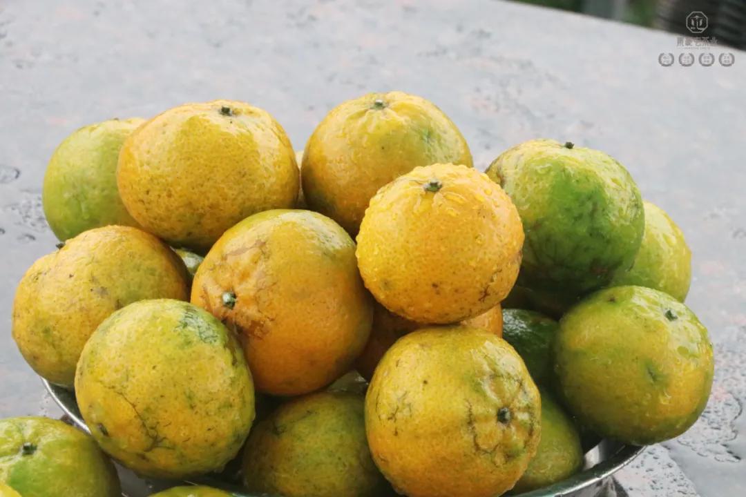 末代梅江陳皮，珍稀且珍惜