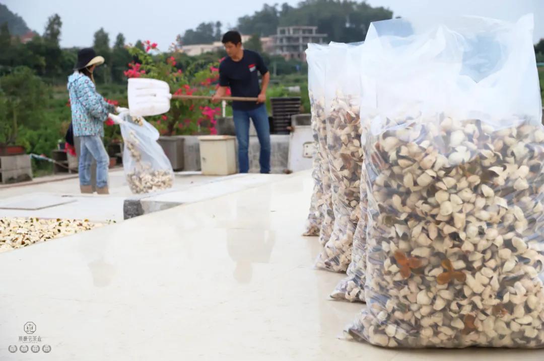 末代梅江陳皮，珍稀且珍惜