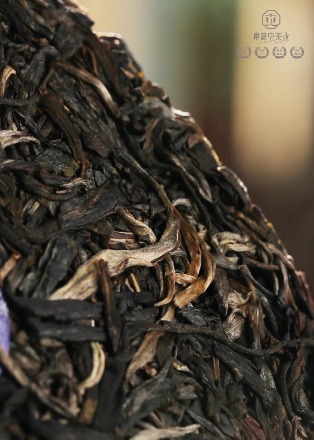 集豪屯·時(shí)速,與君共享生活真味