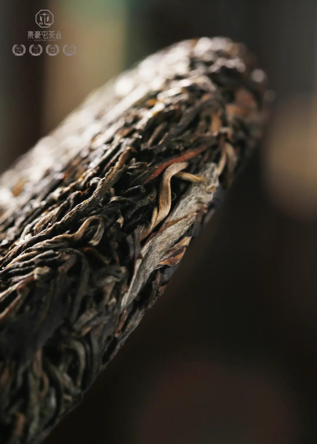 集豪屯·時(shí)速,與君共享生活真味